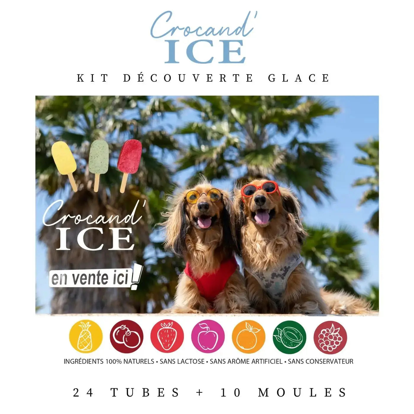 Moule à glace pour chien, friandises chien Biscuit Rex
