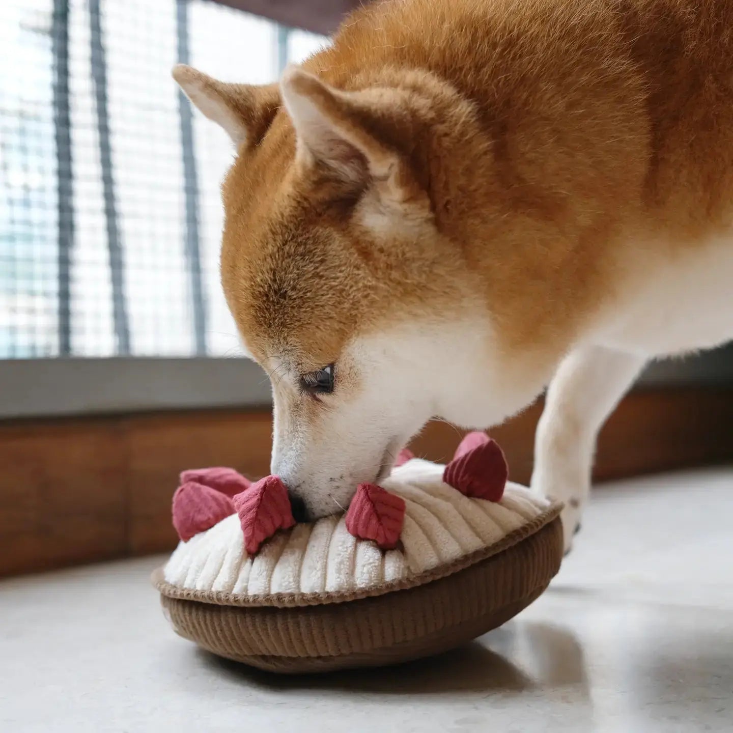 Jouet interactif pour chien en forme de Tarte aux Baies - Lambwolf Biscuit Rex