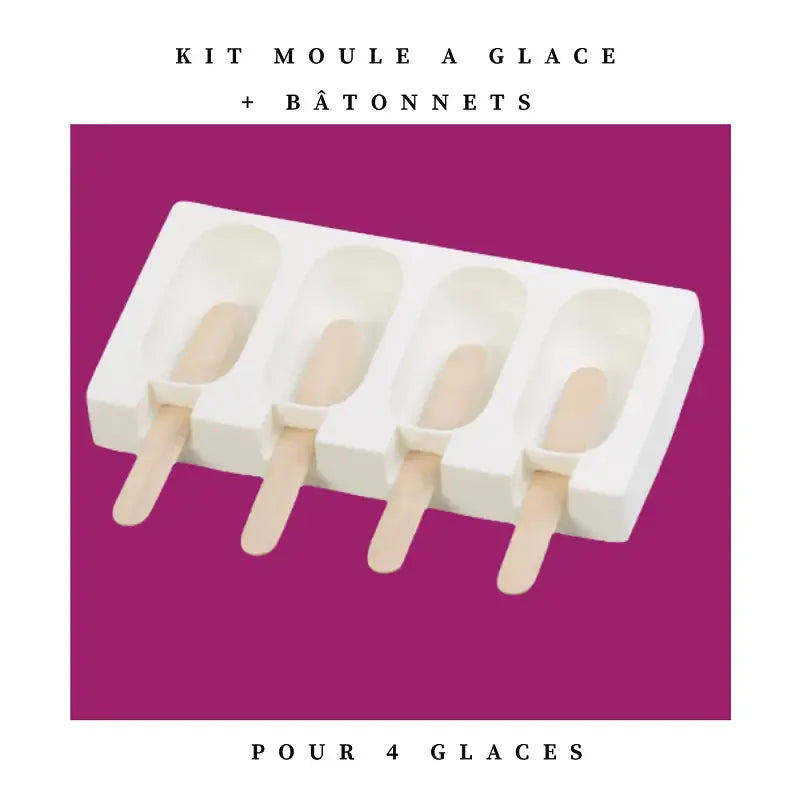 Moule à glace pour chien, friandises chien Biscuit Rex