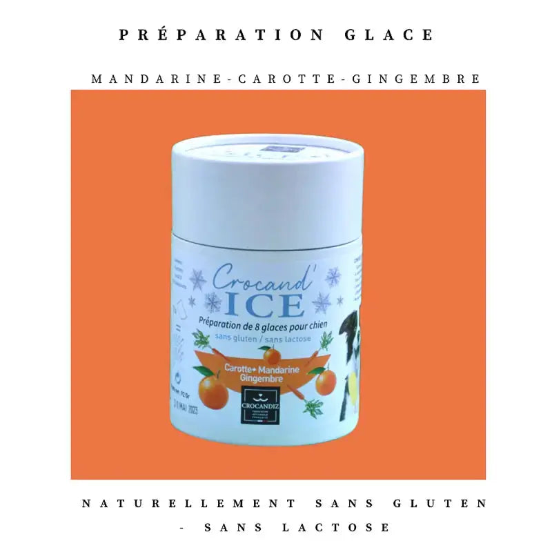 Glace pour chien carotte et mandarine - Crocandiz Biscuit Rex