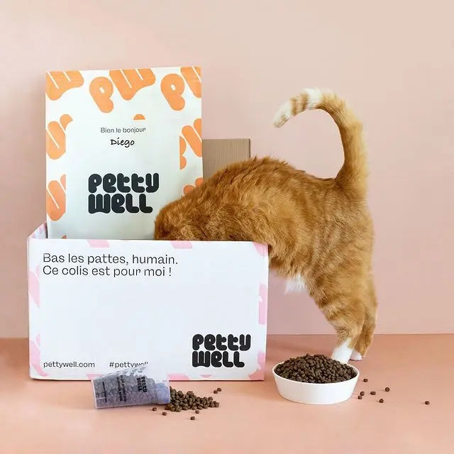 Croquettes Chats - Sans Céréales Poulet & Dinde -Petty well Biscuit Rex