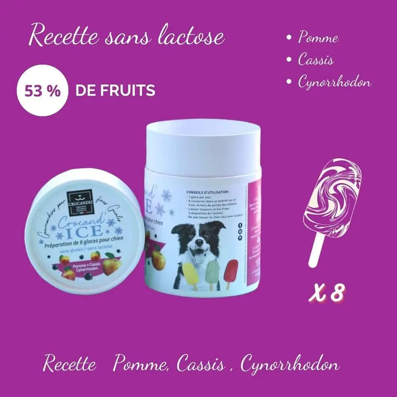 Glace pour chien Pomme et Cassis - Crocandiz Biscuit Rex