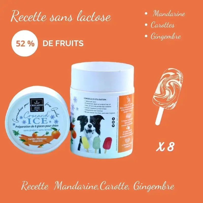 Glace pour chien carotte et mandarine - Crocandiz Biscuit Rex