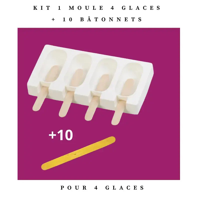 Moule à glace pour chien, friandises chien Biscuit Rex