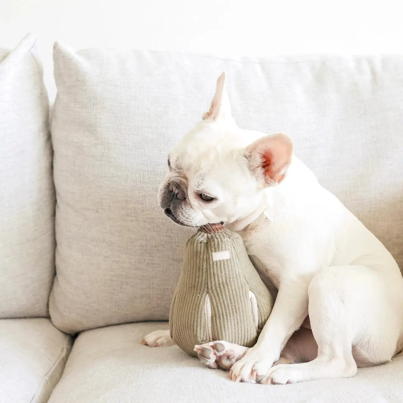 Jouet interactif pour chien - Butternut - Lambwolf Biscuit Rex