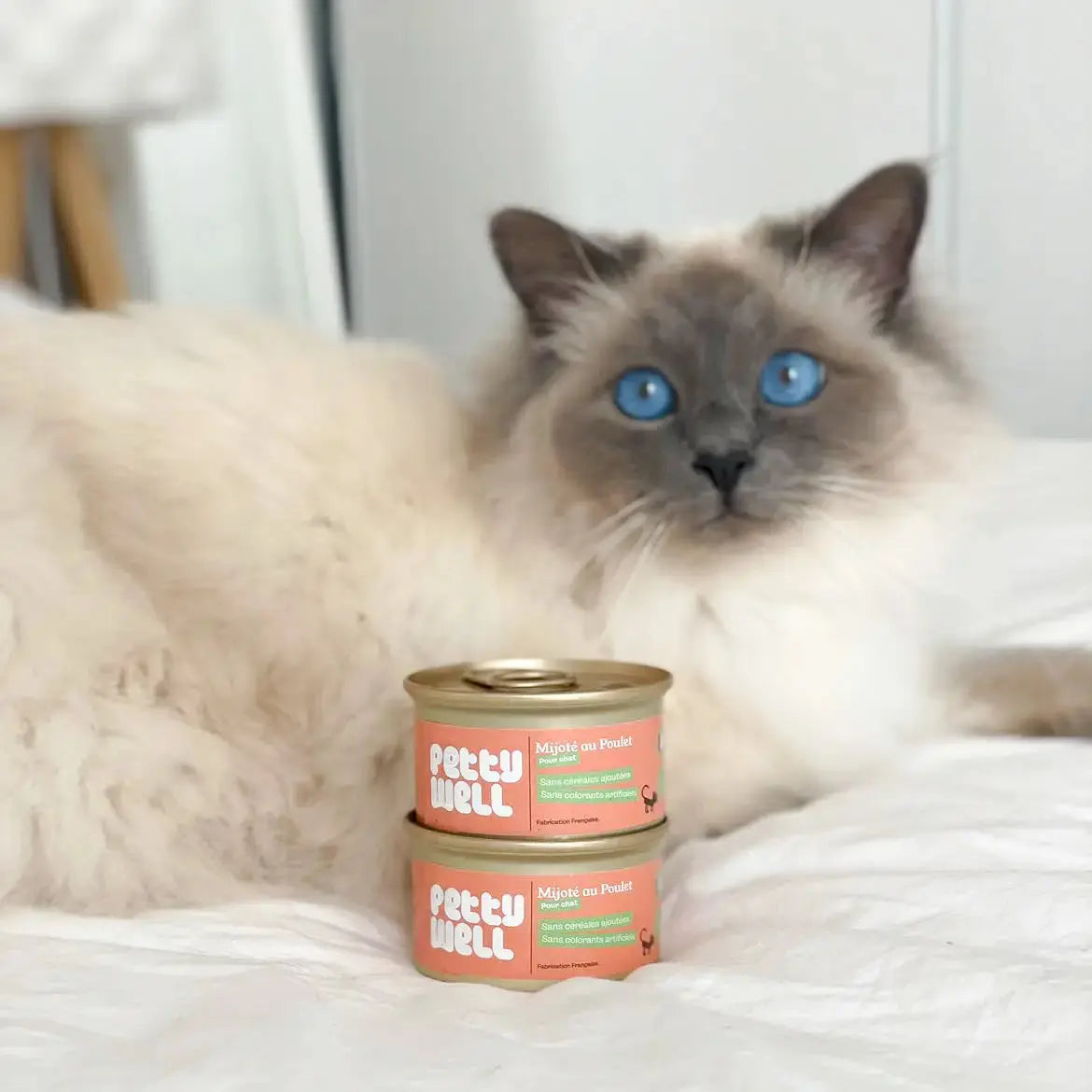 Pâtées pour Chats Poulet - Petty well Biscuit Rex