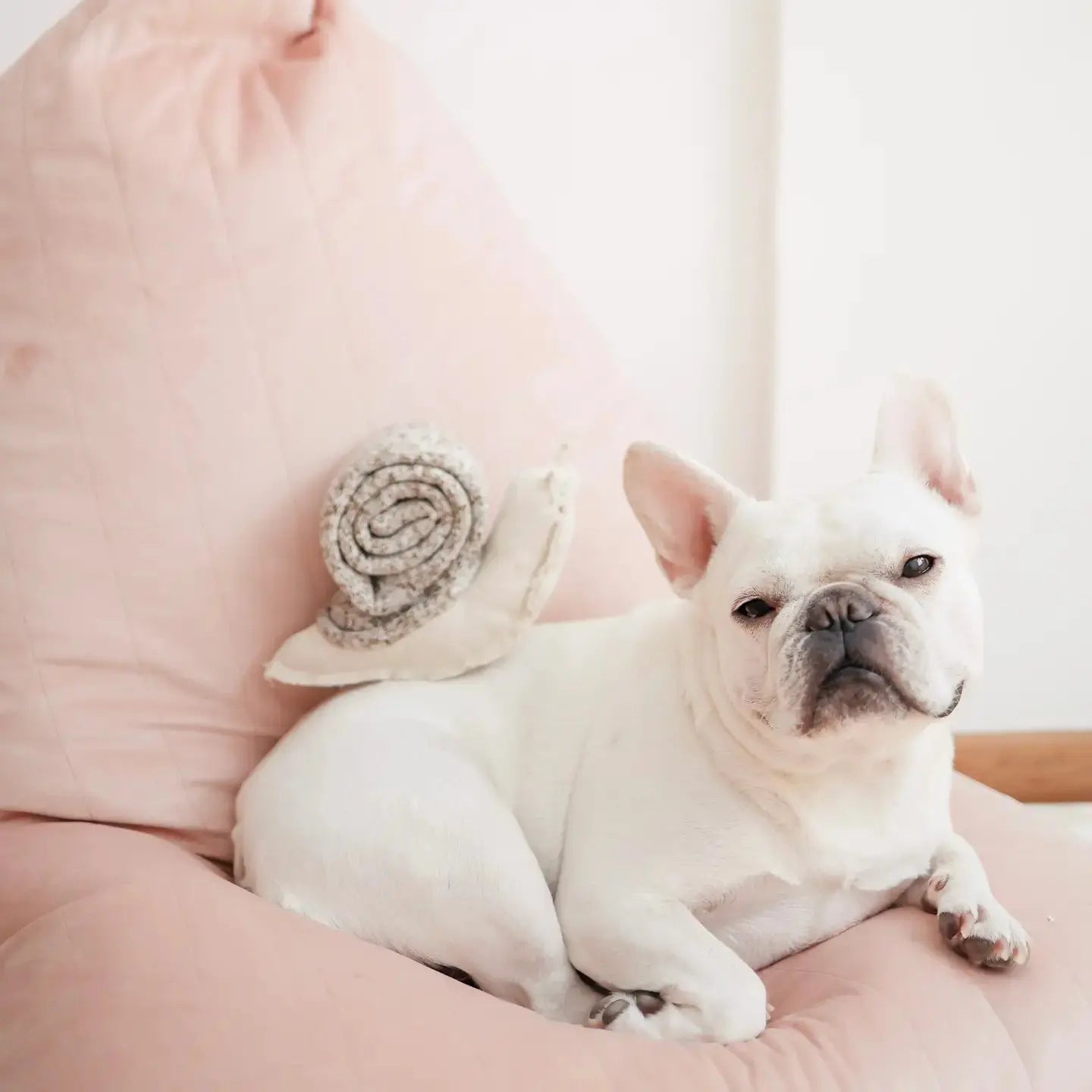 Jouet interactif pour chien Escargot - Lambwolf Biscuit Rex
