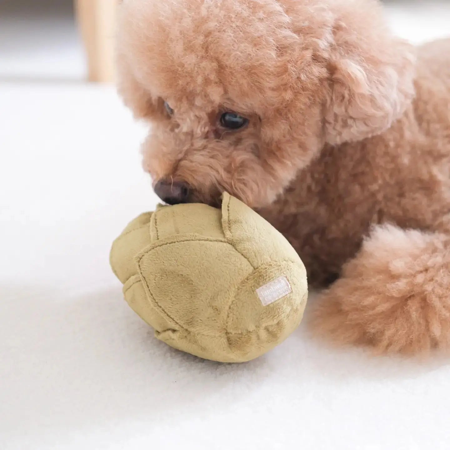 Jouet pour chien artichaut/enrichissement - Lambwolf Biscuit Rex