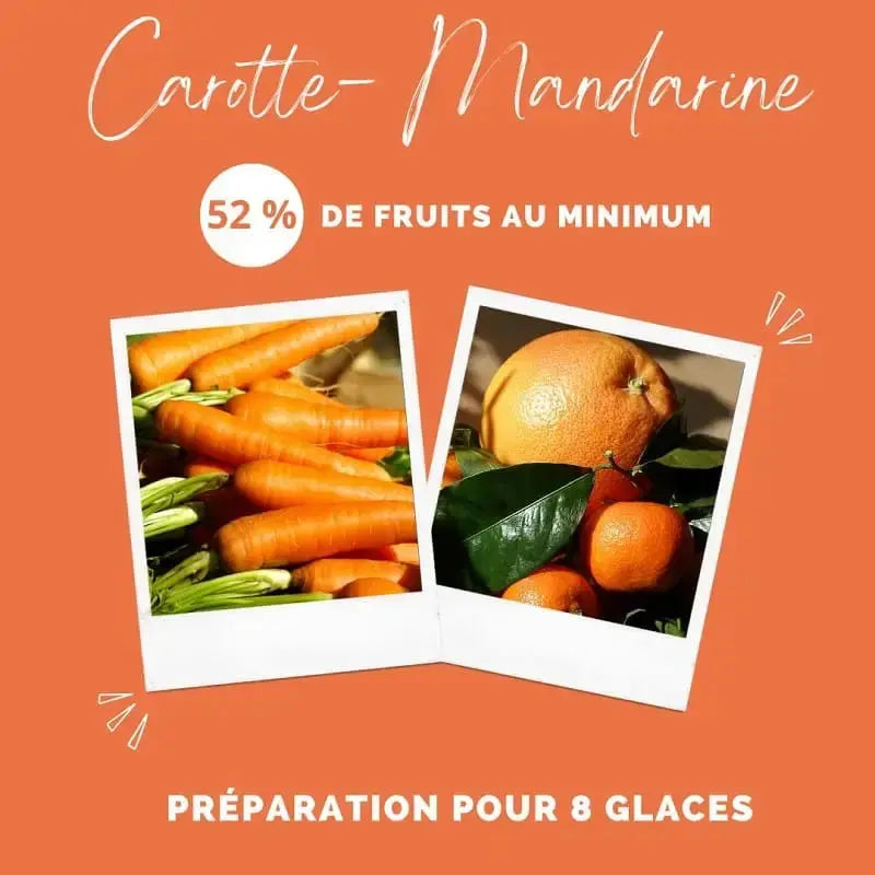 Glace pour chien carotte et mandarine - Crocandiz Biscuit Rex