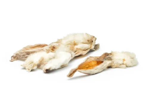 Le guide des oreilles de lapin