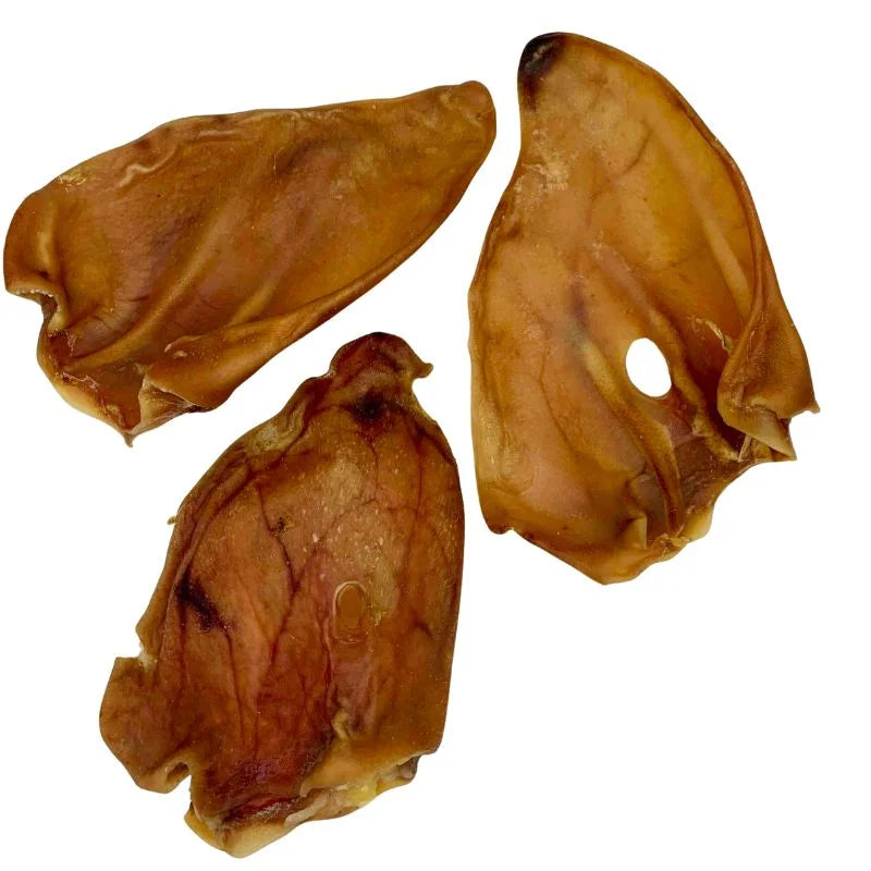 Le Guide Des Oreilles De Porc