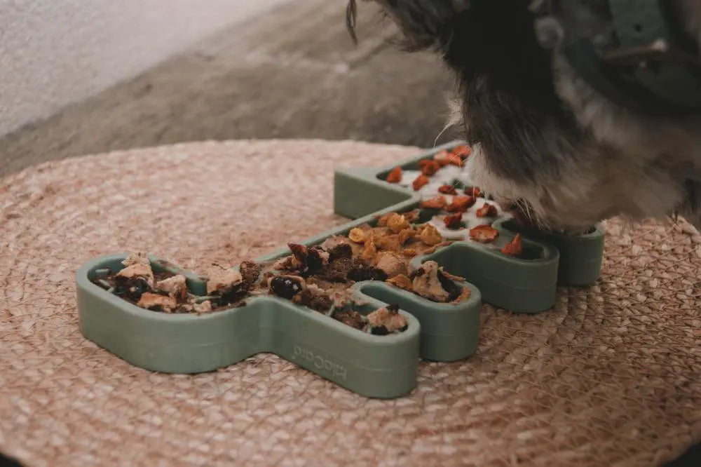 Les Bienfaits de l'Activité de Léchage pour Chien : Un Comportement Naturel aux Multiples Avantages
