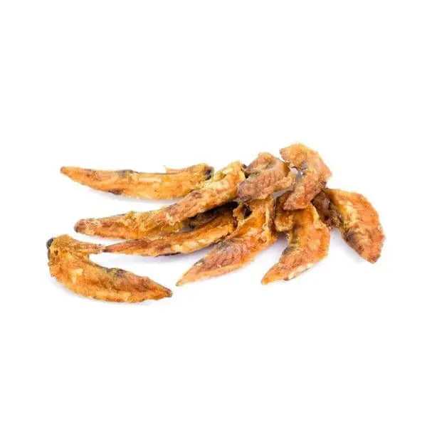 Pattes de Poulet pour Chiens : Utilisations et Bienfaits Complets