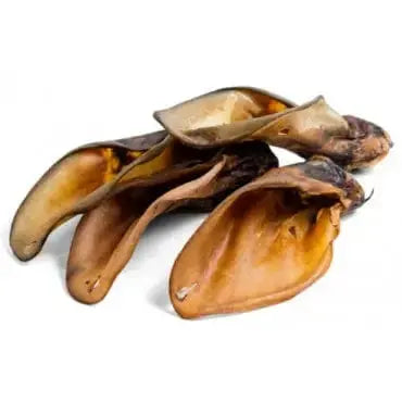 Le Guide Des Oreilles De Boeuf