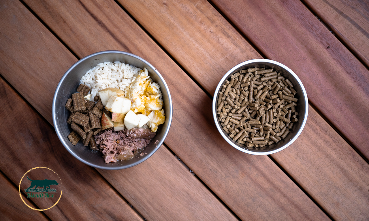viande séchée pour chien