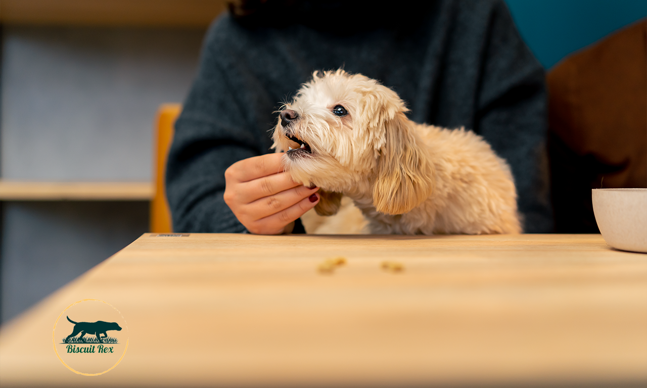 Comment Faire Du Poulet Séché Pour Chien - Un Guide