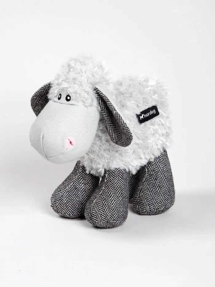 Jouet d’occupation Malle Le Mouton - Nordog Biscuit Rex
