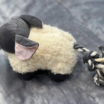 Jouet pour chien en peluche éléphant - Paws the Planet Biscuit Rex