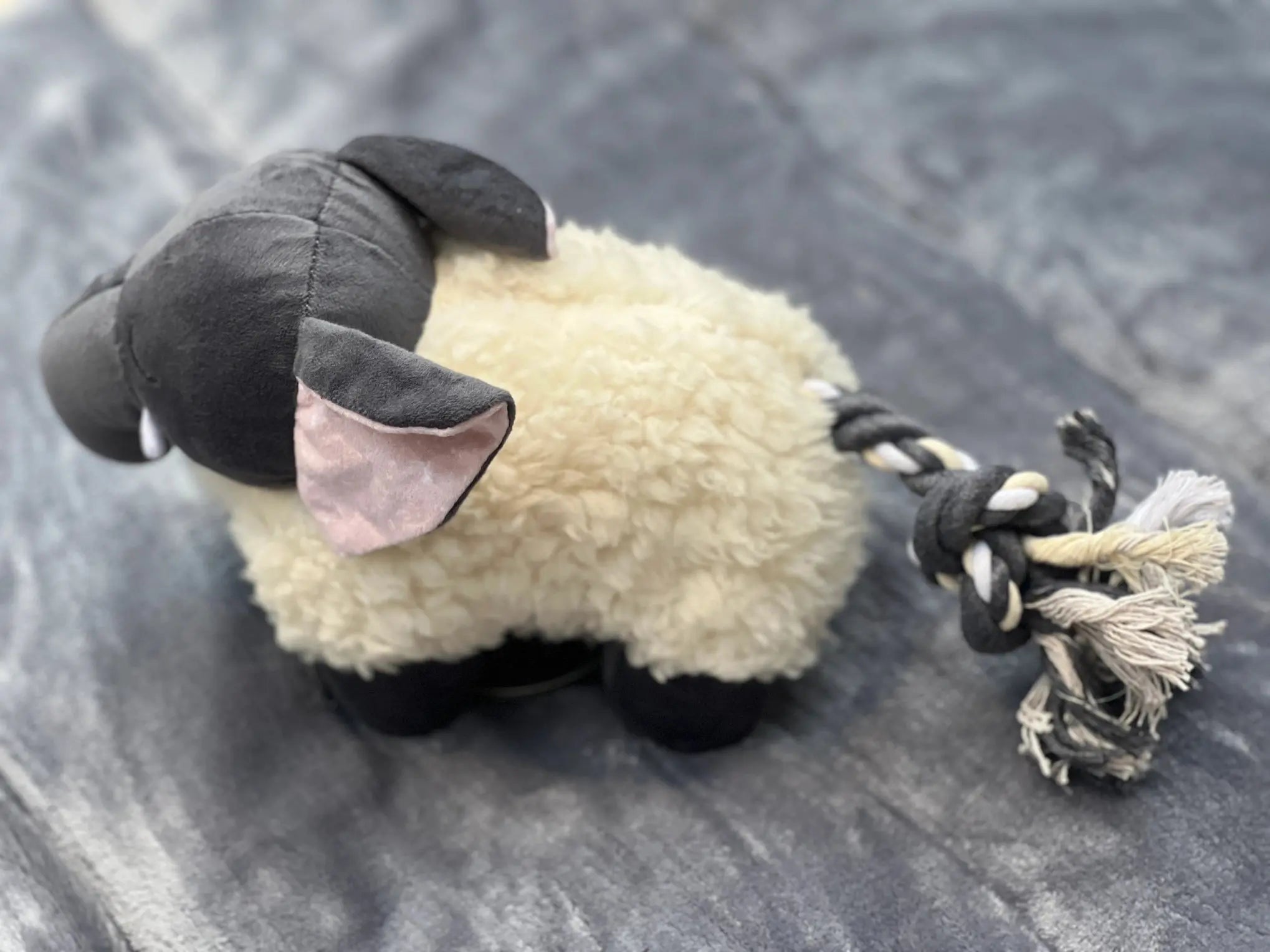 Jouet pour chien en peluche éléphant - Paws the Planet Biscuit Rex