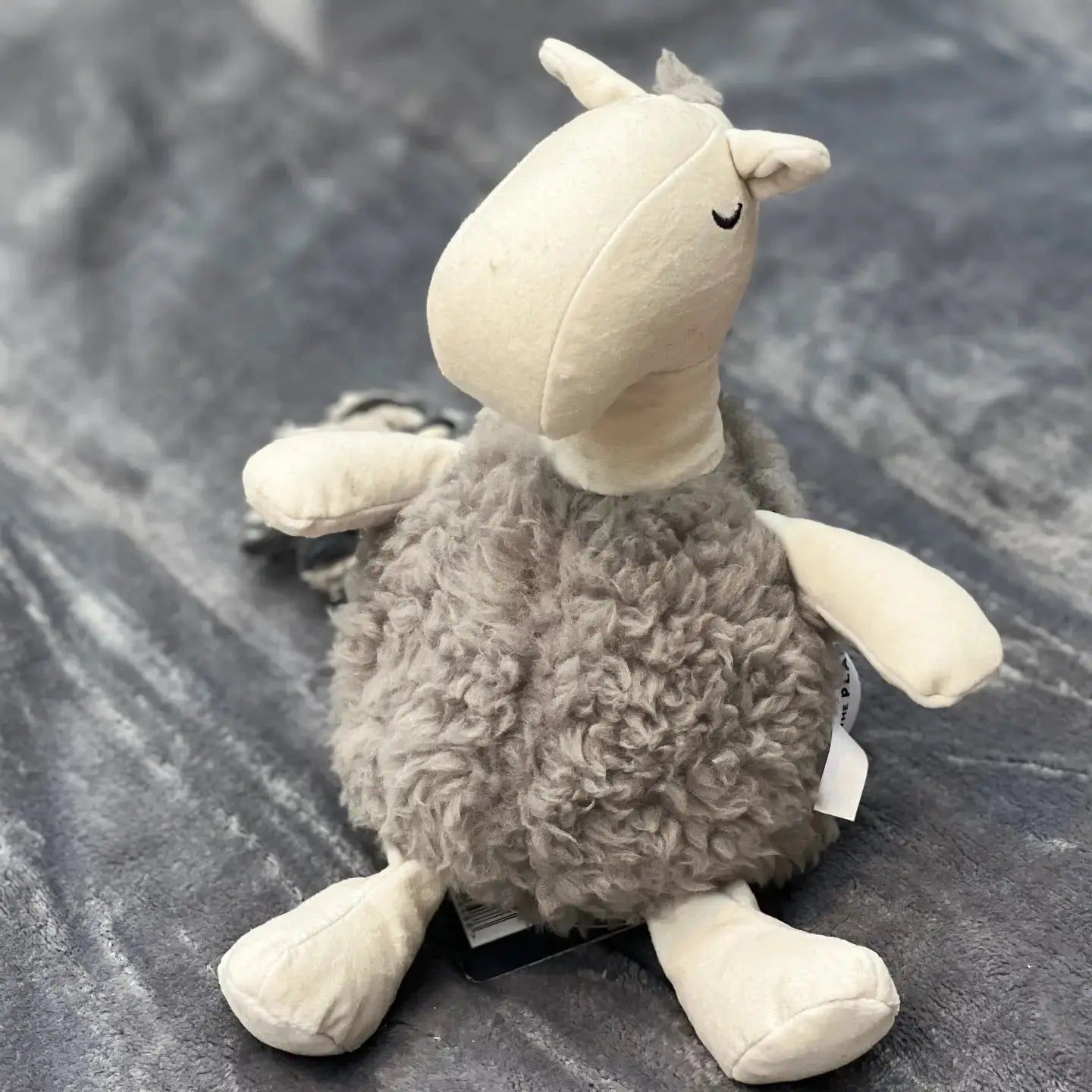 Jouet pour chien Giraffe - Paws the Planet Biscuit Rex