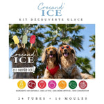 Moule à glace pour chien, friandises chien Biscuit Rex