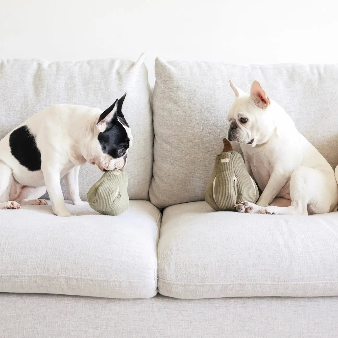 Jouet interactif pour chien - Butternut - Lambwolf Biscuit Rex