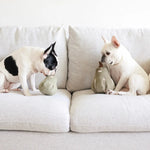 Jouet interactif pour chien - Butternut - Lambwolf Biscuit Rex
