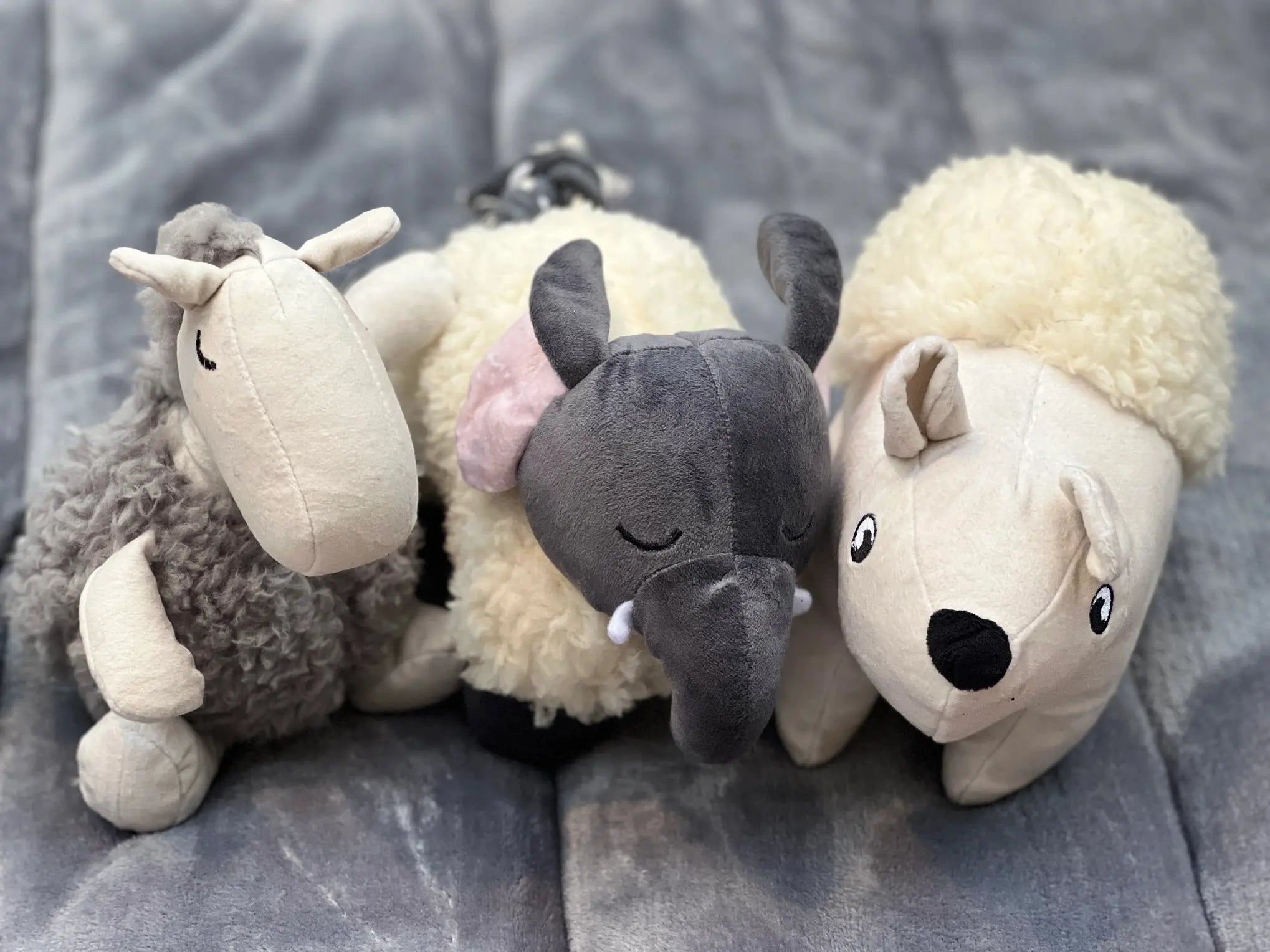 Jouet  pour chien en peluche Ours Polair - Paws the Planet Biscuit Rex