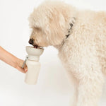 Bouteille d'eau de voyage pour chien- Medium (59 cl) -Springer Biscuit Rex