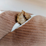 Jouet interactif pour chien en forme de Baguette - Lambwolf Biscuit Rex