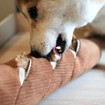 Jouet interactif pour chien en forme de Baguette - Lambwolf Biscuit Rex
