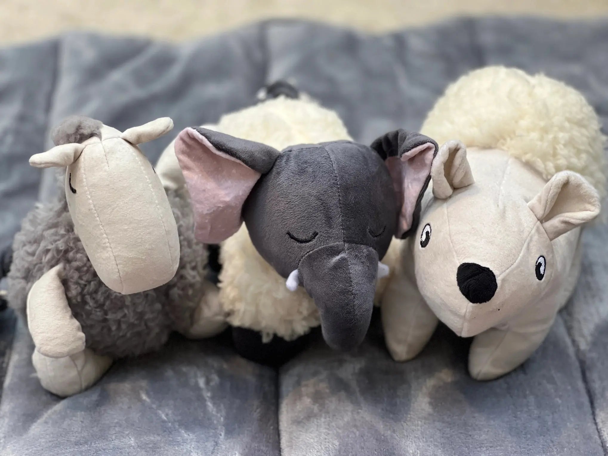 Jouet pour chien en peluche éléphant - Paws the Planet Biscuit Rex