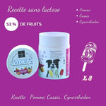 Glace pour chien Pomme et Cassis - Crocandiz Biscuit Rex