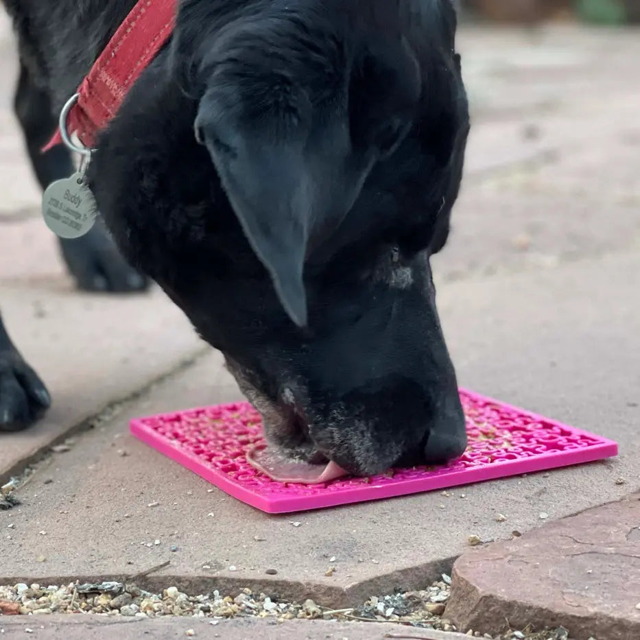 Tapis d'enrichissement pour léchage Emat pour scie sauteuse Biscuit Rex
