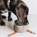 Bol de voyage en toile cirée - Gris -  The Dapper Dog Club Biscuit Rex