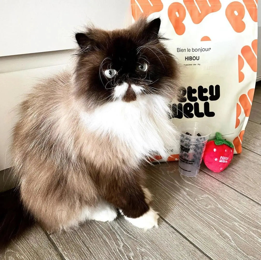 Croquettes Chats - Sans Céréales Poulet & Dinde -Petty well Biscuit Rex