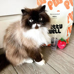 Croquettes Chats - Sans Céréales Poulet & Dinde -Petty well Biscuit Rex