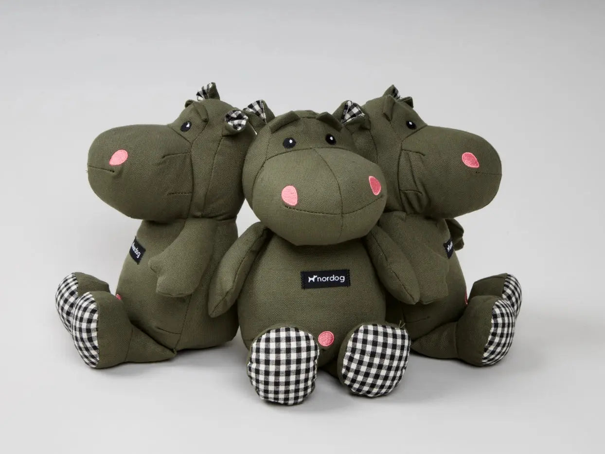 Jouet d’occupation Henny l'hippopotame Olive - Nordog Biscuit Rex