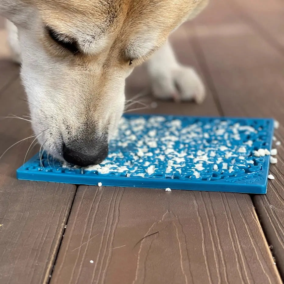 Tapis d'enrichissement pour léchage Emat pour scie sauteuse Biscuit Rex