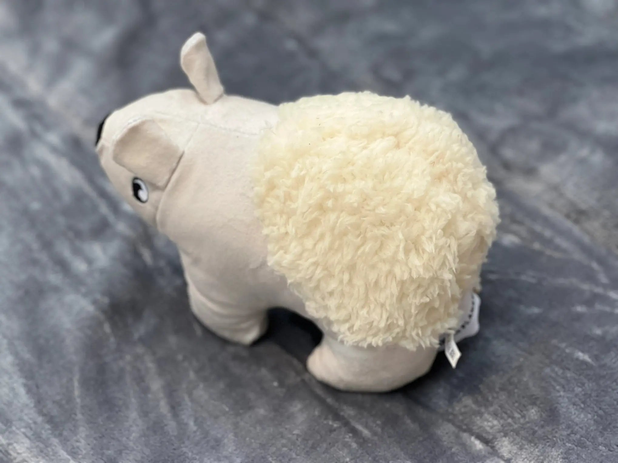 Jouet  pour chien en peluche Ours Polair - Paws the Planet Biscuit Rex