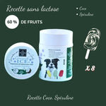 Glace pour chien Coco et Spiruline - Crocandiz Biscuit Rex