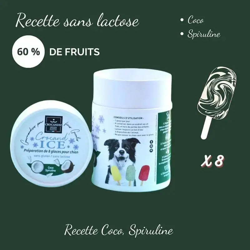 Glace pour chien Coco et Spiruline - Crocandiz Biscuit Rex
