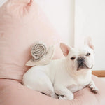 Jouet interactif pour chien Escargot - Lambwolf Biscuit Rex