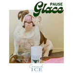 Glace pour chien Coco et Spiruline - Crocandiz Biscuit Rex