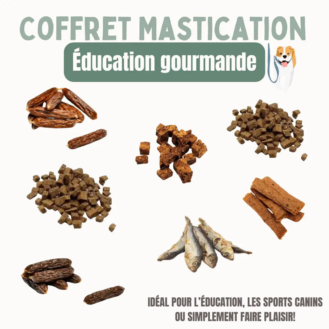 Box Education gourmande Biscuit Rex