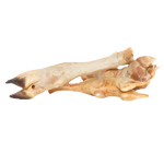 Biscuit Rex