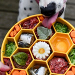 Honeycomb Design eBowl Enrichment Slow Feeder Bowl pour chiens Biscuit Rex
