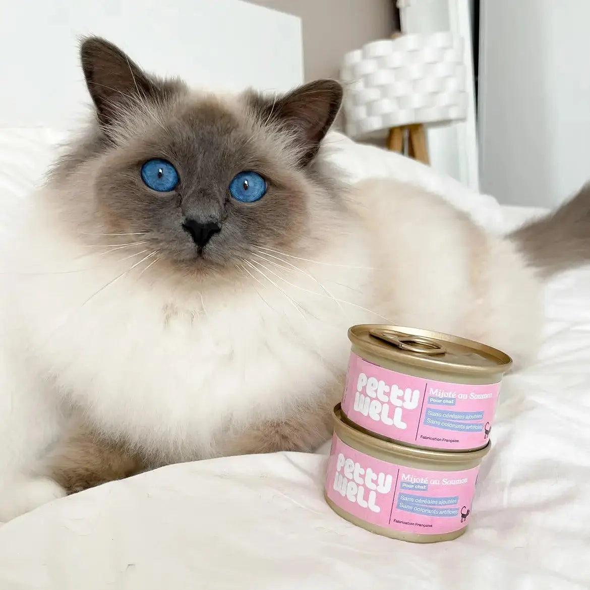 Pâtées pour Chats Saumon - Petty well Biscuit Rex