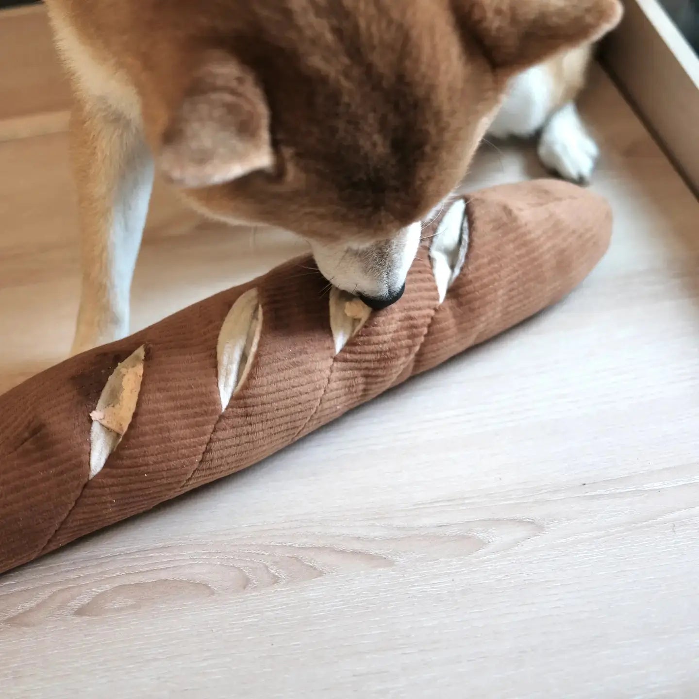 Jouet interactif pour chien en forme de Baguette - Lambwolf Biscuit Rex