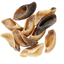 Sabot de veau 🐂 pour chien - Biscuit Rex